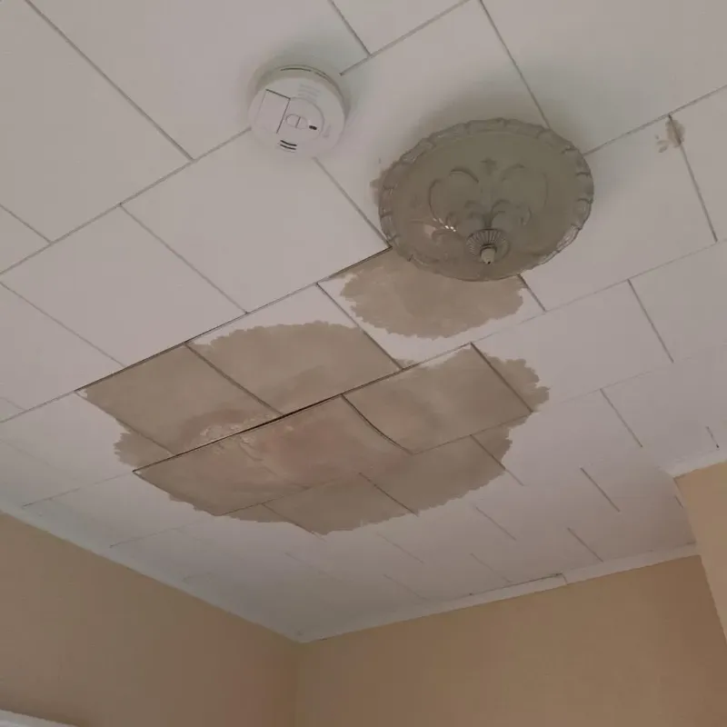 Ceiling Water Damage Repair in Atkins, AR