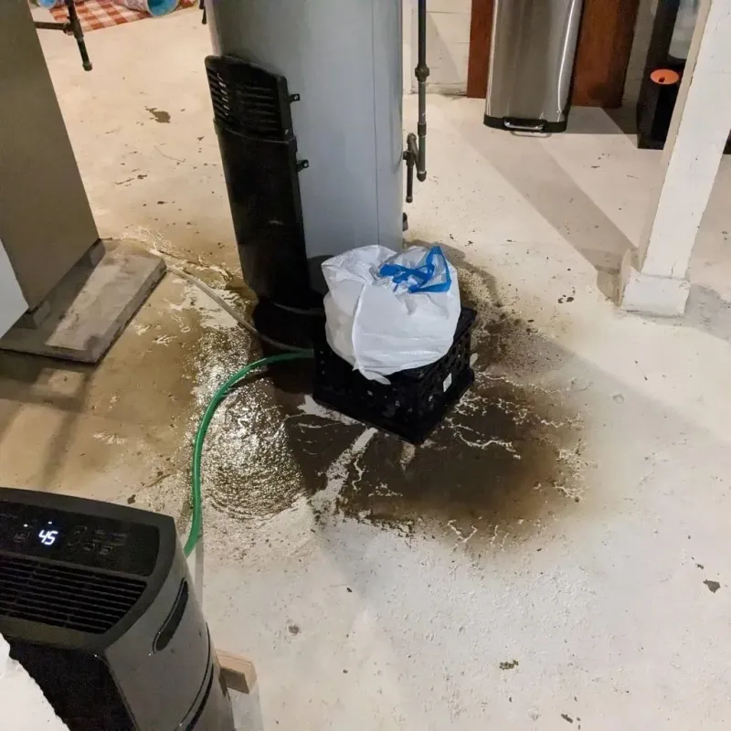 Sewage Backup Cleanup Service in Atkins, AR